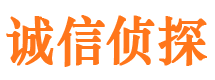 海东市私家侦探